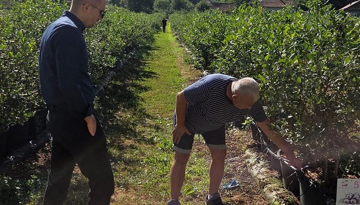 MINISTAR POLJOPRIVREDE, VODOPRIVREDE I ŠUMARSTVA ZDK POSJETIO PLANTAŽU BOROVNICE U VISOKOM