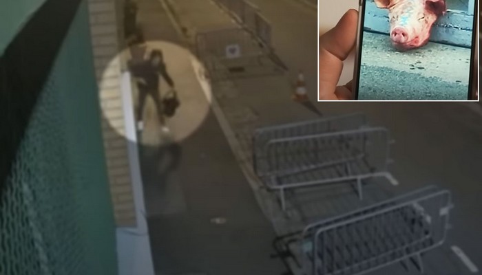 SRBIJANAC OSTAVLJAO SVINJSKE GLAVE PRED DŽAMIJOM U PARIZU