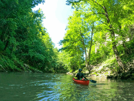 POČINJE ISTRAŽIVANJE BIODEVERZITETA RIJEKE KRIVAJE