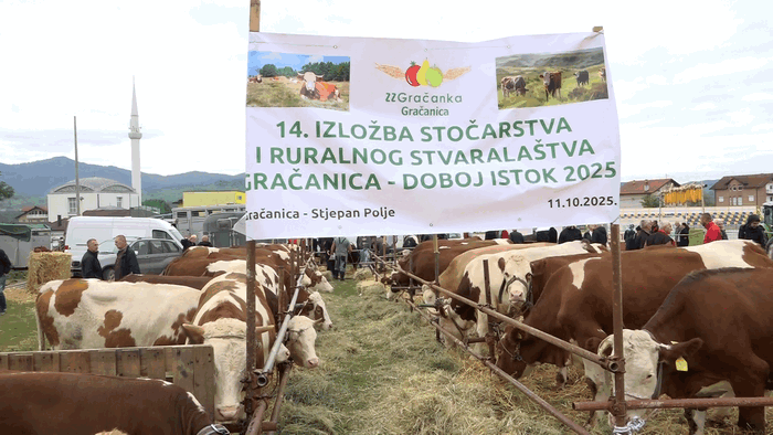 ODRŽAN 14. IZLOŽBA STOČARSTVA I RURALNOG STVARALAŠTVA „GRAČANICA-DOBOJ ISTOK 2025“