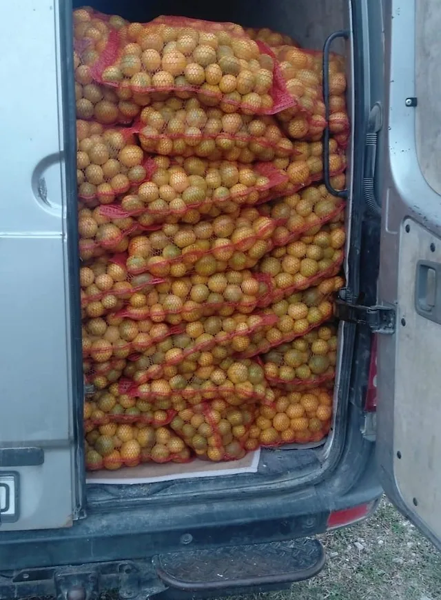SPRIJEČEN ŠVERC 4.500 KG MANDARINA: GRANIČNA POLICIJA BIH I FRONTEX ZAUSTAVILI VOZILO