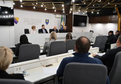 ZDK JAČA INSTITUCIONALNI  ODGOVOR NA NASILJE U PORODICI I NASILJE NAD ŽENAMA I DJECOM