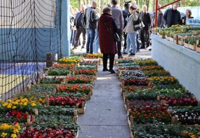 Više od 12.000 sadnica cvijeća podijeljeno u okviru akcije „Za ljepši i uređeniji Doboj“