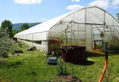 HRVATIMA U BIH NA RASPOLAGANJU 4 MILIJUNA EURA POTPORE ZA POLJOPRIVREDNE PROJEKTE