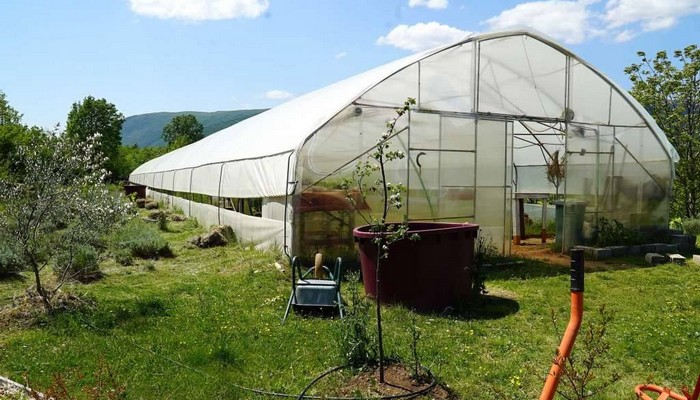 HRVATIMA U BIH NA RASPOLAGANJU 4 MILIJUNA EURA POTPORE ZA POLJOPRIVREDNE PROJEKTE